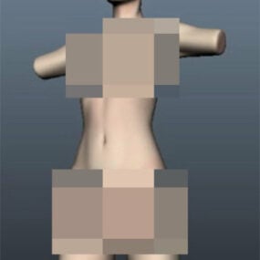 Modelo 3D de partes do corpo de mulher