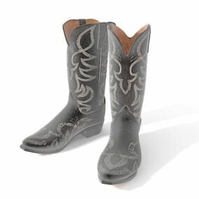Women Fashion Cowboy Boots 3d model
