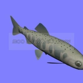 Model 3d Ikan Sungai Salmon Amago