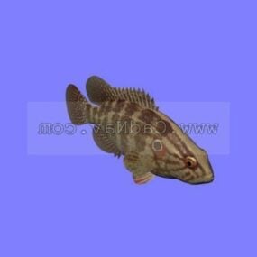 Rainbow Cichlid Fish Animated Rig 3d model