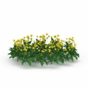 แบบจำลอง 3 มิติของพืชดอกไม้สวนสีเหลือง