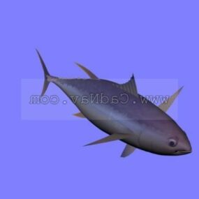 Yellowfin Tuna Fish Animal 3d model