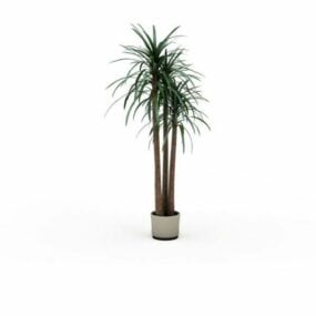 Indendørs Yucca Gigantea Plant 3d-model