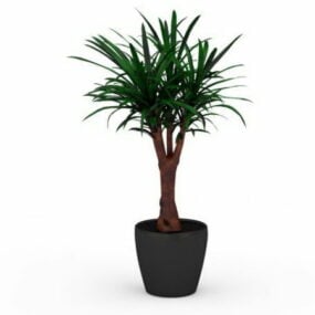 Yucca Gloriosa växt i kruka 3d-modell