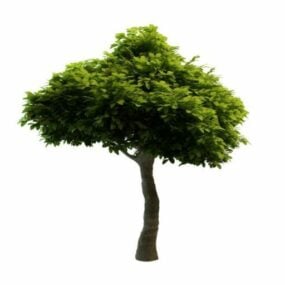 Ornamental Tree Garden Lanscape 3d-model