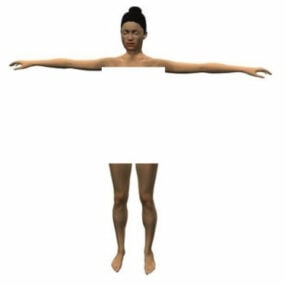 Modello 3d di anatomia del corpo femminile di salute