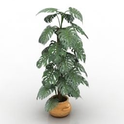 Modelo 3d de planta em vaso de sala de estar