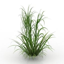 3д модель садовой травы