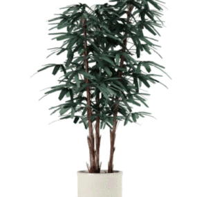 Plant In White Pot 3d model