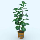 Terracotta Potted Plant