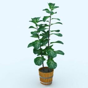 Plante en pot en terre cuite modèle 3D
