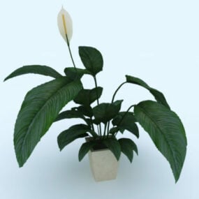 Liten potteplante 3d-modell
