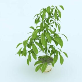 Modello 3d della pianta in vaso domestica