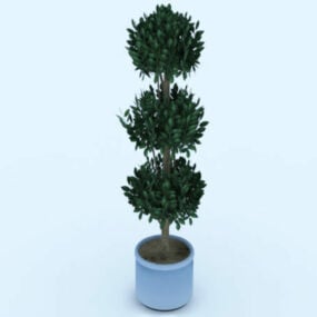 3д модель высокого растения в горшке
