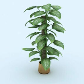 3д модель комнатного домашнего растения