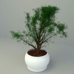 Modelo 3d de planta em vaso de mesa