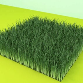 Modello 3d del modulo campo in erba