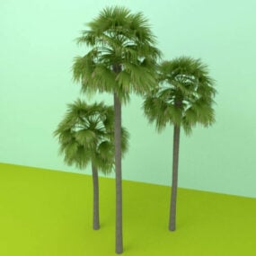نموذج شجرة النخيل ثلاثي الأبعاد