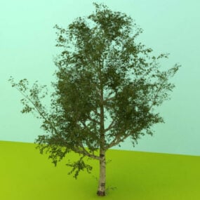 مدل سه بعدی درخت برگ باغ