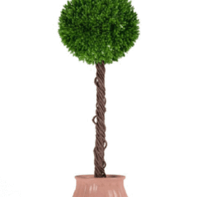 Potted Plant Tree Home Decoration 3d model