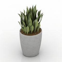 Grey Potted Plant 3d model