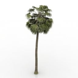 美容棕榈树免费3d模型 3ds Gsm Open3dmodel 天内