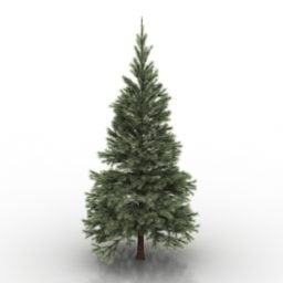 European Conifers Tree 3d-modell