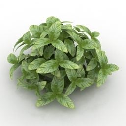 Modello 3d della pianta verde del cespuglio del giardino