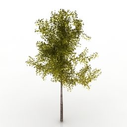 Дерево із зеленим листям 3d модель
