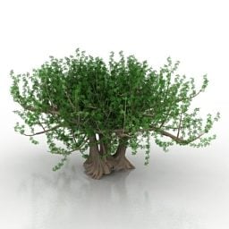 Ağaç Küçük Çalı 3d modeli