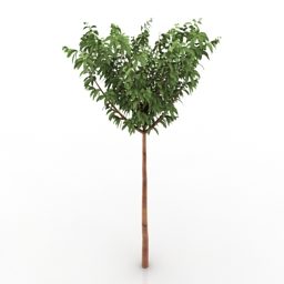 Gartenbaum-Grünblätter 3D-Modell