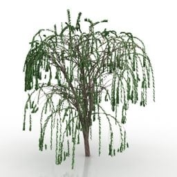 Small Tree Garden 3d model