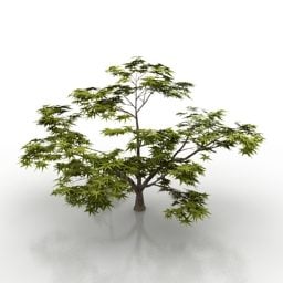 叶子树3d模型