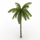 Тропическая пальма
