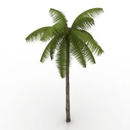 3D model tropické palmy