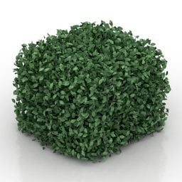 Modelo 3D de decoração de sebe de arbusto de jardim