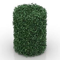 Garden Cylinder Hedge 3d model