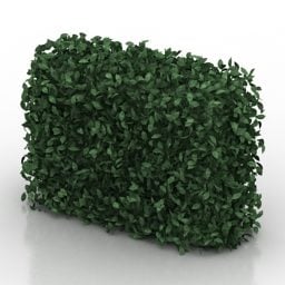 Hedge Plant Set 3d model