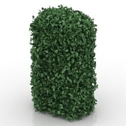 Modello 3d dell'albero della pianta della siepe del giardino