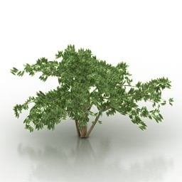 Modello 3d della pianta del cespuglio da giardino