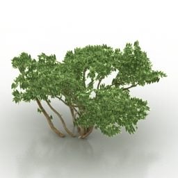 Bush 3D-Modell