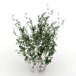Modello 3d della pianta del fiore dei cespugli del giardino