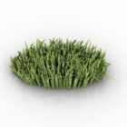 Grass Plant