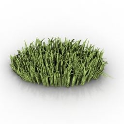 Modelo 3d de planta de grama