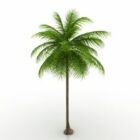 Lowpoly Palm Tree