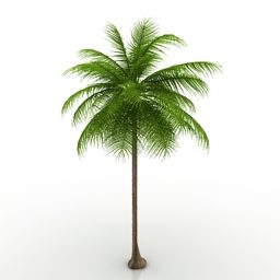 Lowpoly Palmiye Ağacı 3d modeli