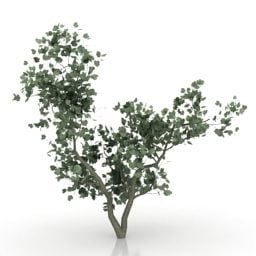 Lowpoly 叶子树3d模型
