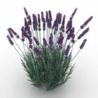 Flores de violeta de planta de jardim