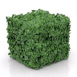 Model 3D Kubik Hedge Bush