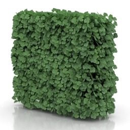 Modelo 3d de arbusto de seto de pared